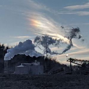 Meet your Posher, Vickie